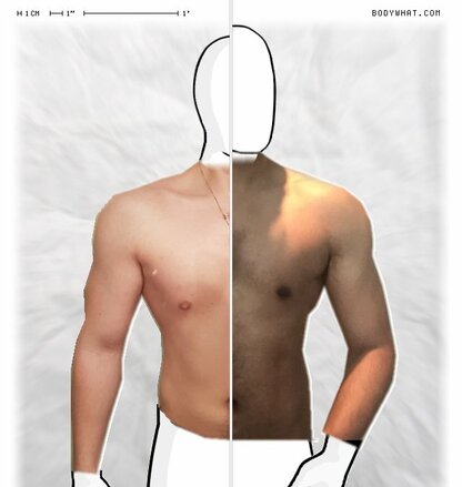 Torso Comparison