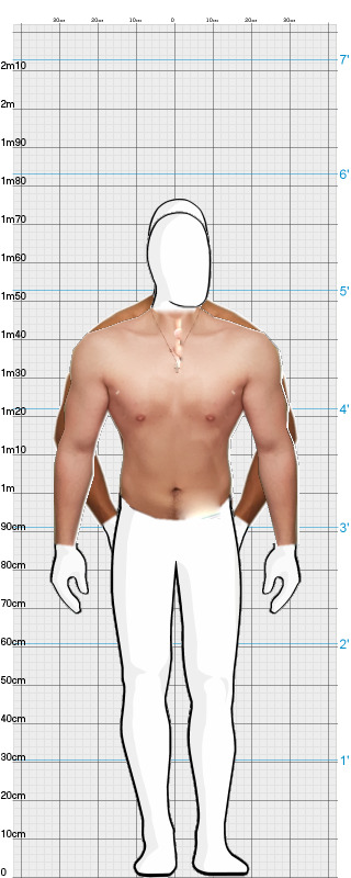 Full Size Comparison