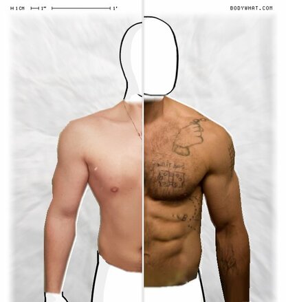 Torso Comparison