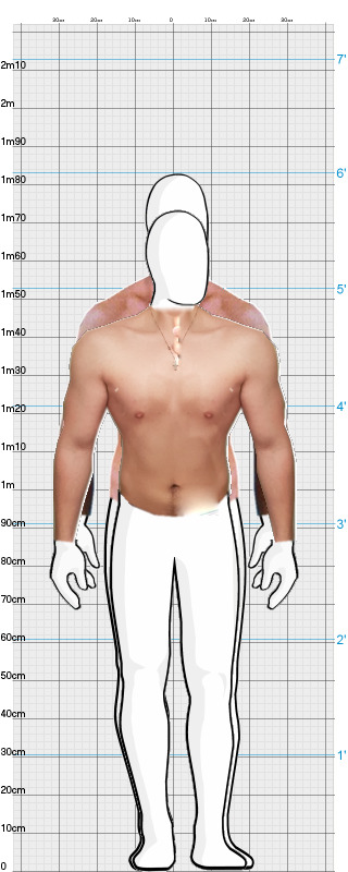 Full Size Comparison