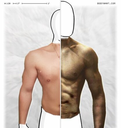 Torso Comparison