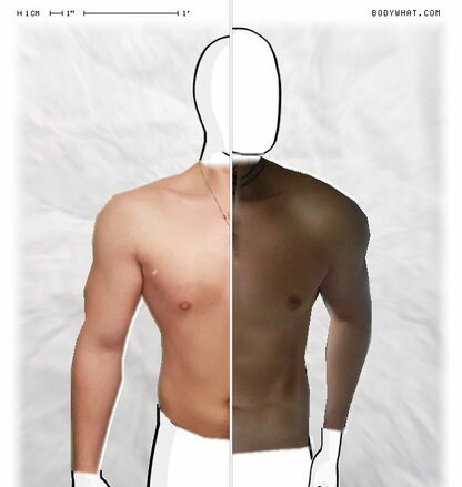 Torso Comparison