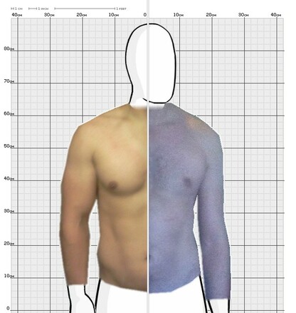 Torso Comparison