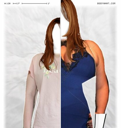 Torso Comparison