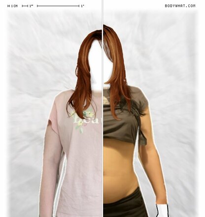 Torso Comparison