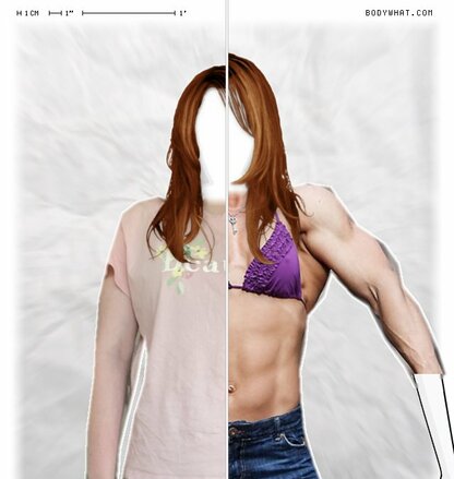 Torso Comparison