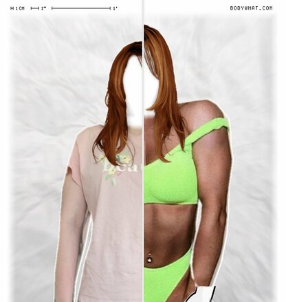 Torso Comparison