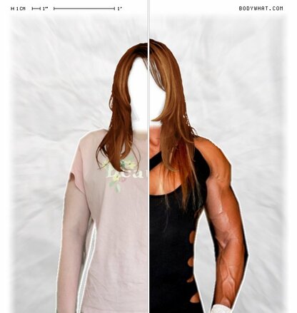 Torso Comparison