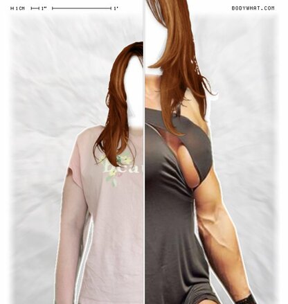 Torso Comparison