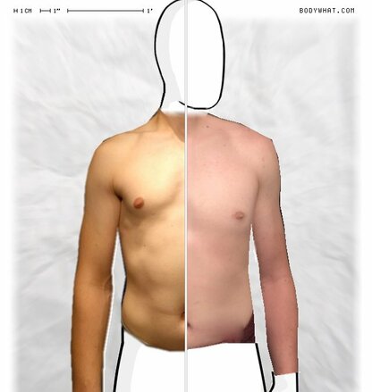 Torso Comparison