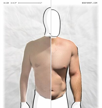 Torso Comparison