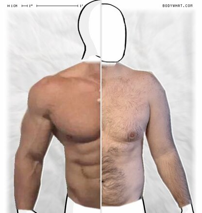 Torso Comparison