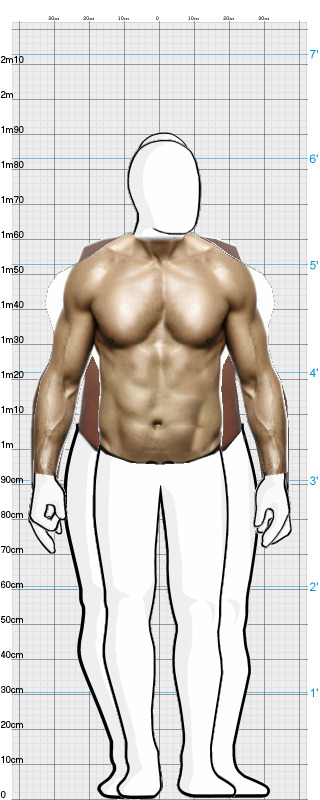 Full Size Comparison