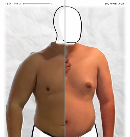 Torso Comparison