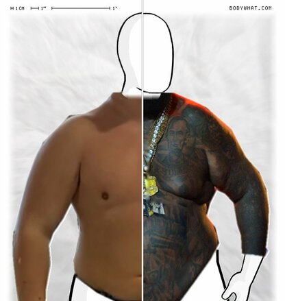 Torso Comparison