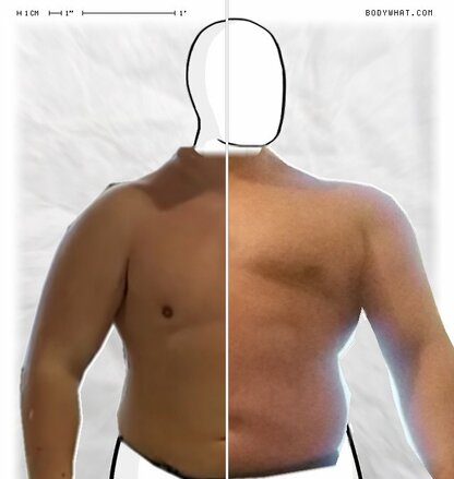 Torso Comparison
