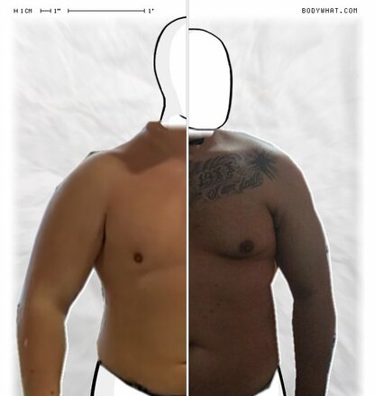 Torso Comparison