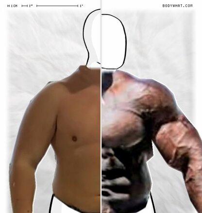 Torso Comparison