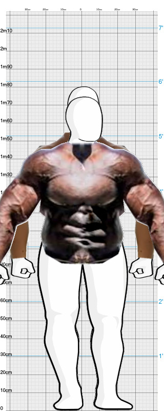 Full Size Comparison