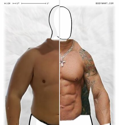 Torso Comparison