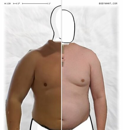 Torso Comparison