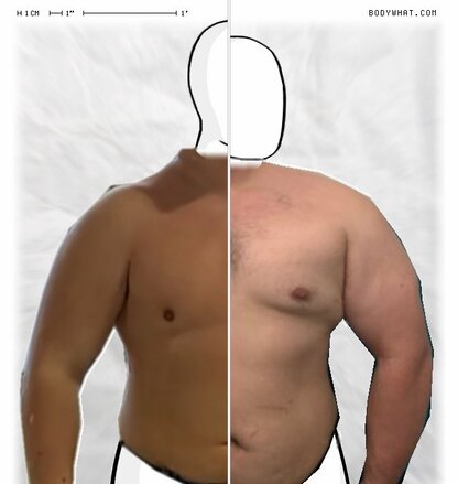 Torso Comparison