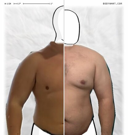 Torso Comparison