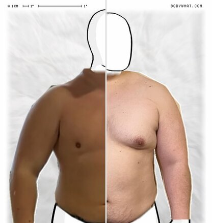 Torso Comparison