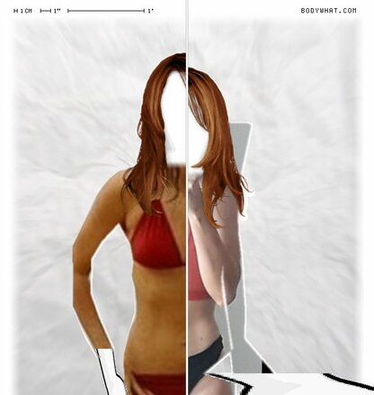 Torso Comparison
