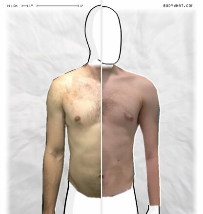 Torso Comparison