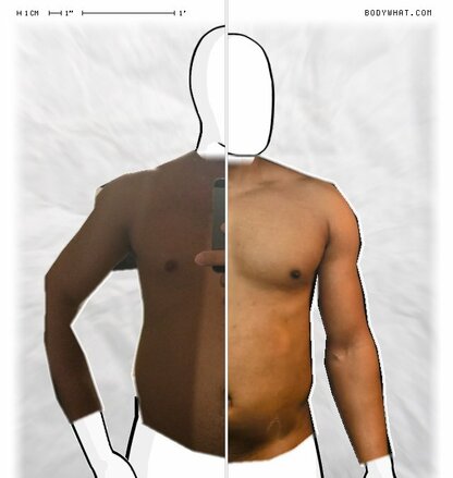 Torso Comparison