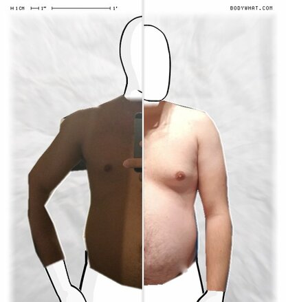 Torso Comparison