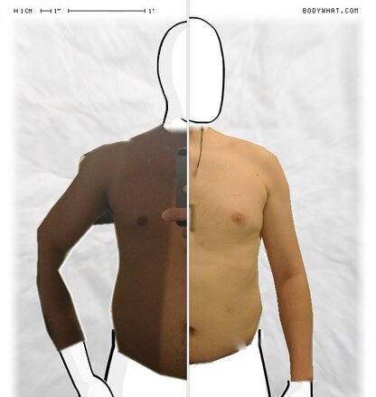 Torso Comparison