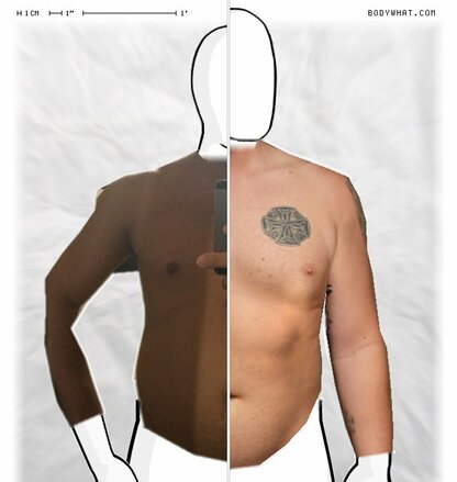 Torso Comparison