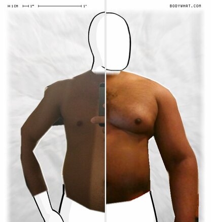 Torso Comparison