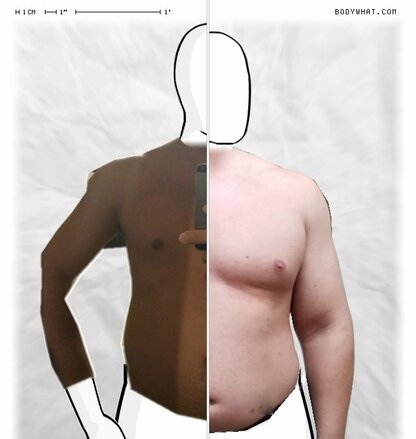 Torso Comparison