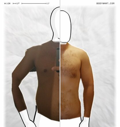 Torso Comparison