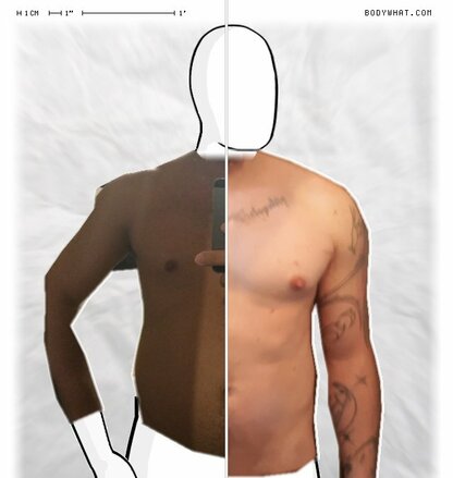 Torso Comparison