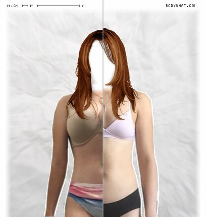 Torso Comparison