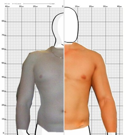 Torso Comparison