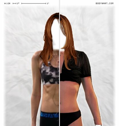 Torso Comparison