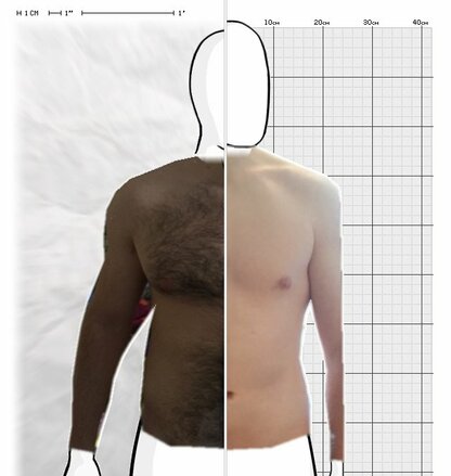 Torso Comparison