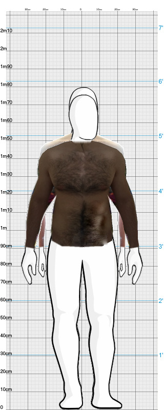 Full Size Comparison