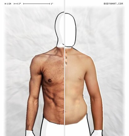 Torso Comparison