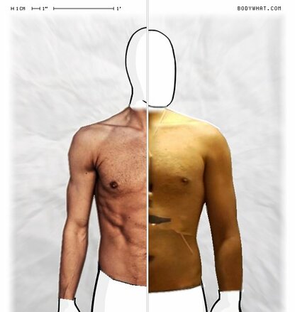 Torso Comparison