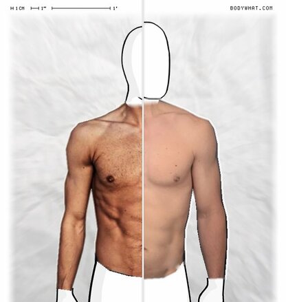 Torso Comparison