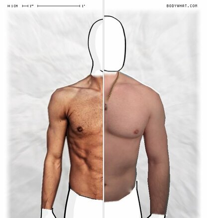 Torso Comparison