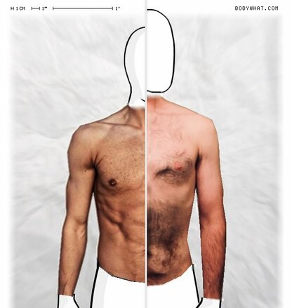 Torso Comparison