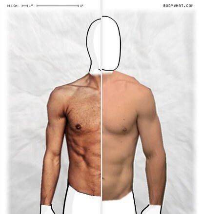 Torso Comparison