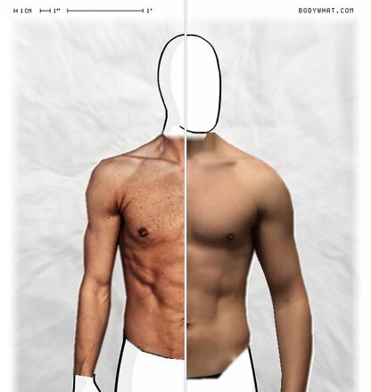 Torso Comparison